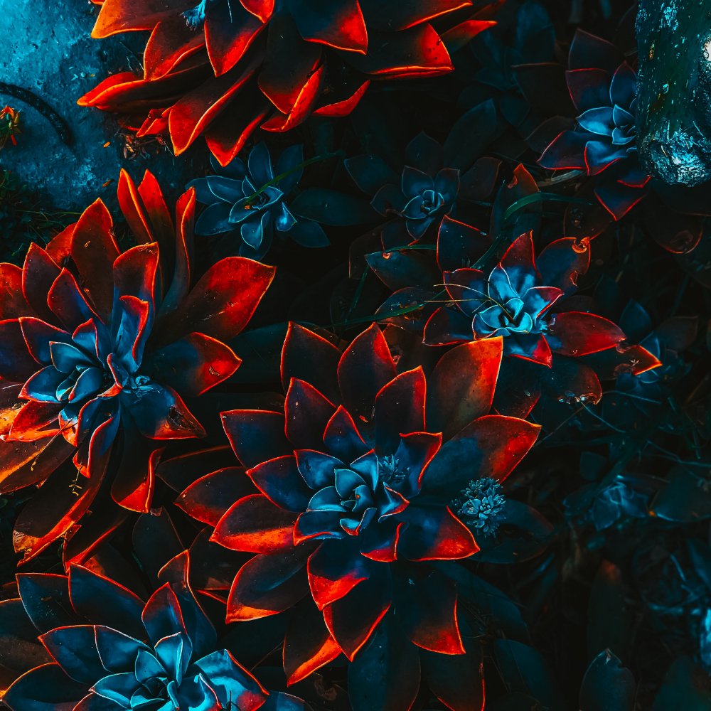 Freelance Artist Floral 4