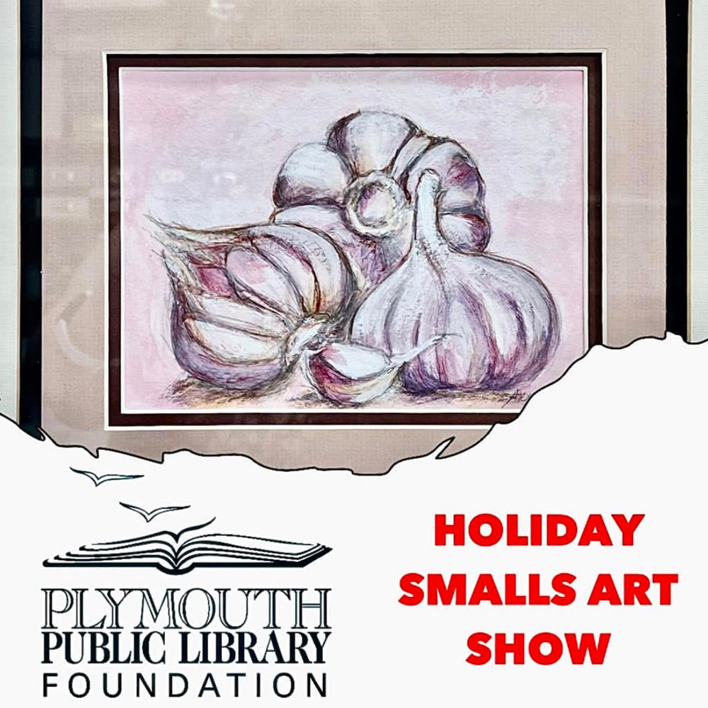 plymouth library